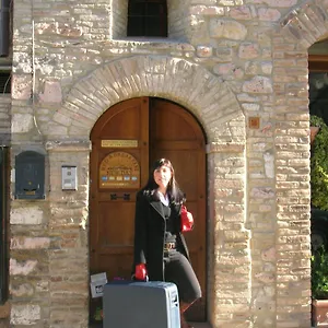 New Day Assisi